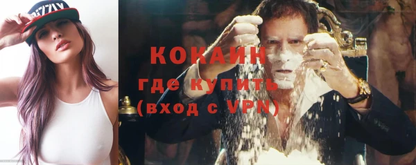 индика Аркадак