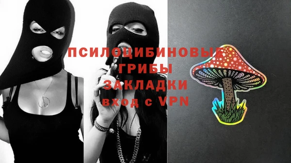 индика Аркадак